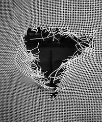 Strong mosquito passed here