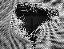 Strong mosquito passed here